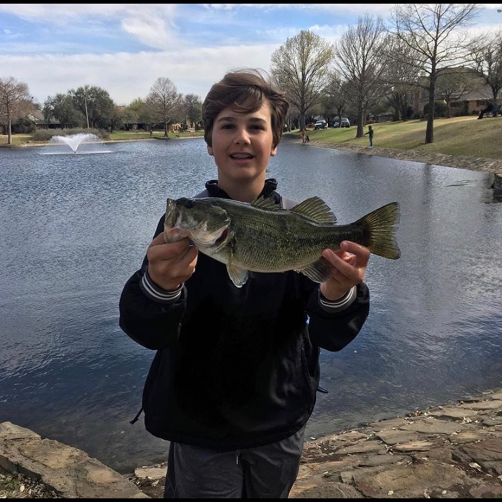 Meet your Posher, Cole